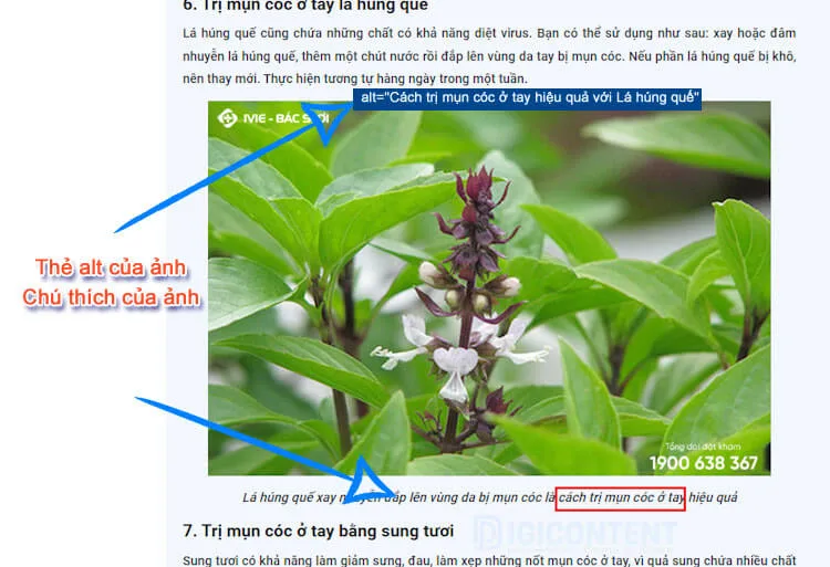 Mẫu bài viết chuẩn SEO 04
