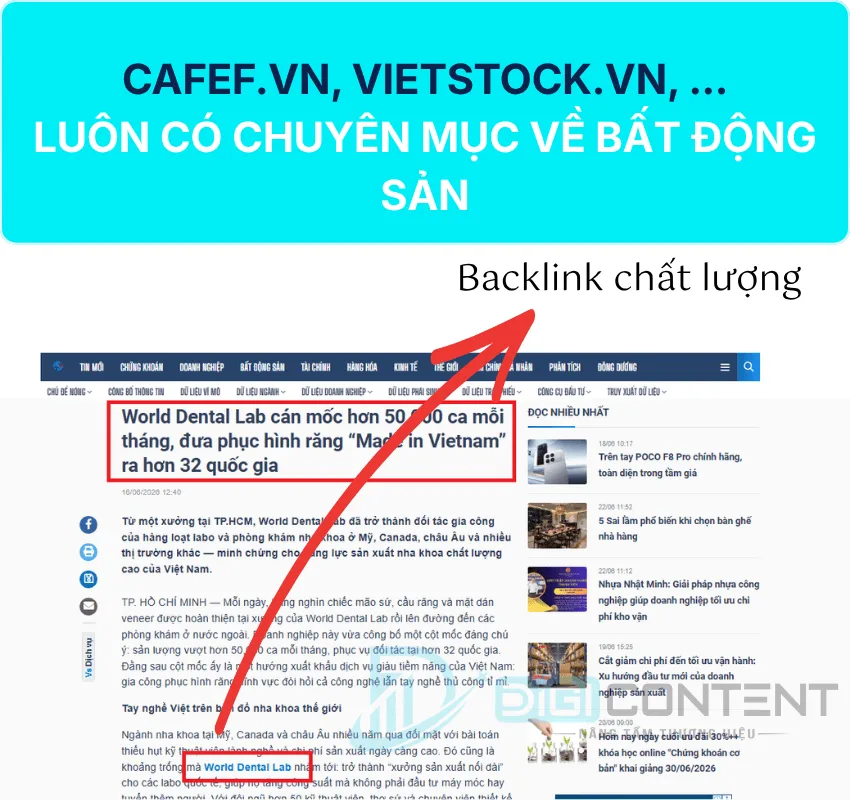 Mua backlink chất lượng bất động sản 2