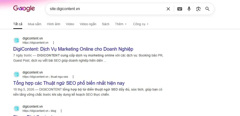 Kiểm tra Google index trang